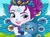 Patter Peacock de Imbracat