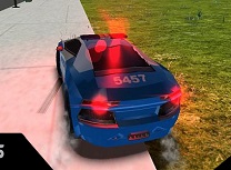 Masini de Politie Offroad