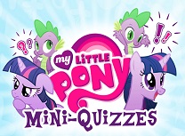 Micul Meu Ponei Chestionare Mici