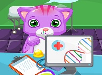 Doctor de Pisici Mici