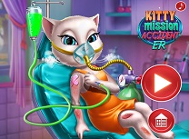 Pisica Accident in Misiune