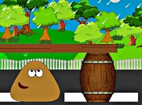 Pou Acoperit de Ploaie