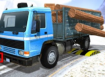 Simulator de Camioane Cargo Asiatic