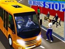 Sofer de Microbuz in Oras