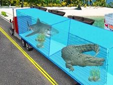 Transportati Animale Marine